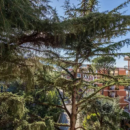 Apartamento Pine House Sorrento