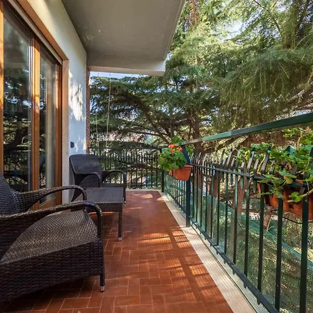 Pine House Apartment *
